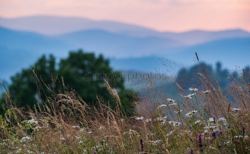 Similar – Foto Bild Abendstimmung