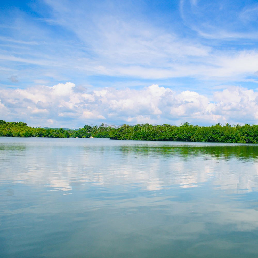 Similar – Image, Stock Photo summertime Nature Water