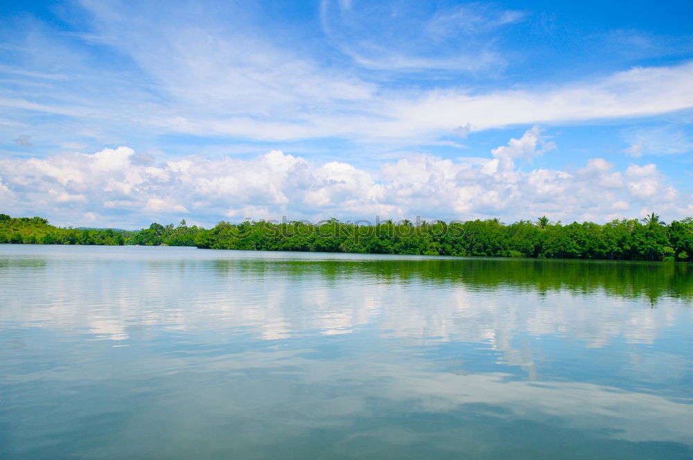 Image, Stock Photo summertime Nature Water