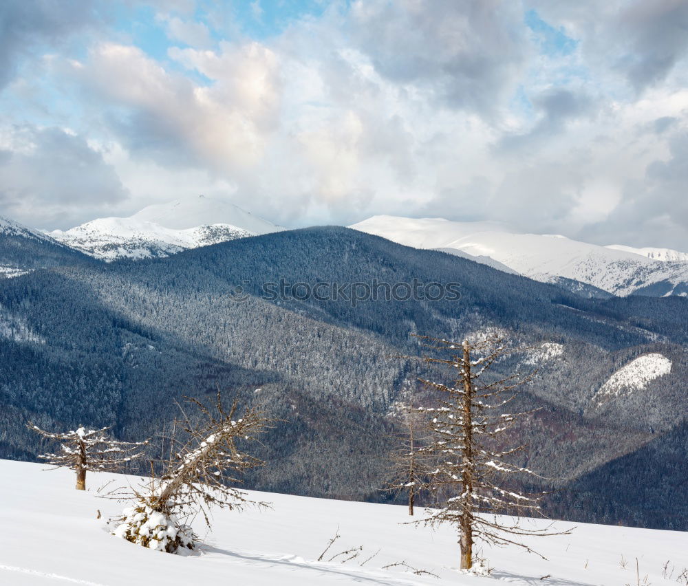 Similar – Image, Stock Photo winter hike in the northern Black Forest on a sunny day