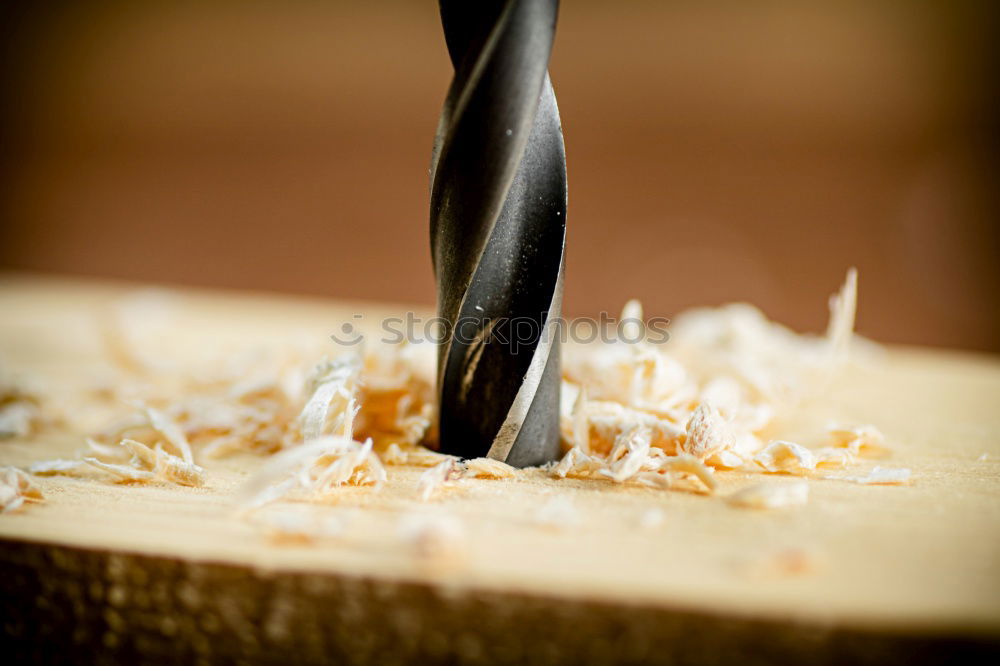 wooden curl Wood shavings