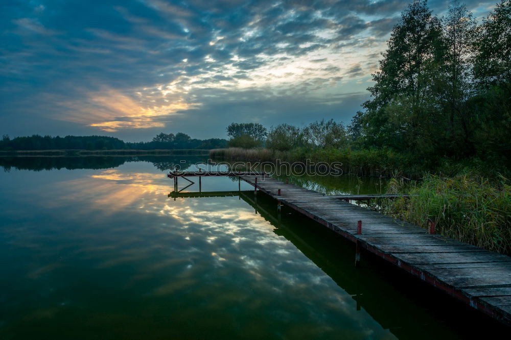 Similar – Südsee Umwelt Natur