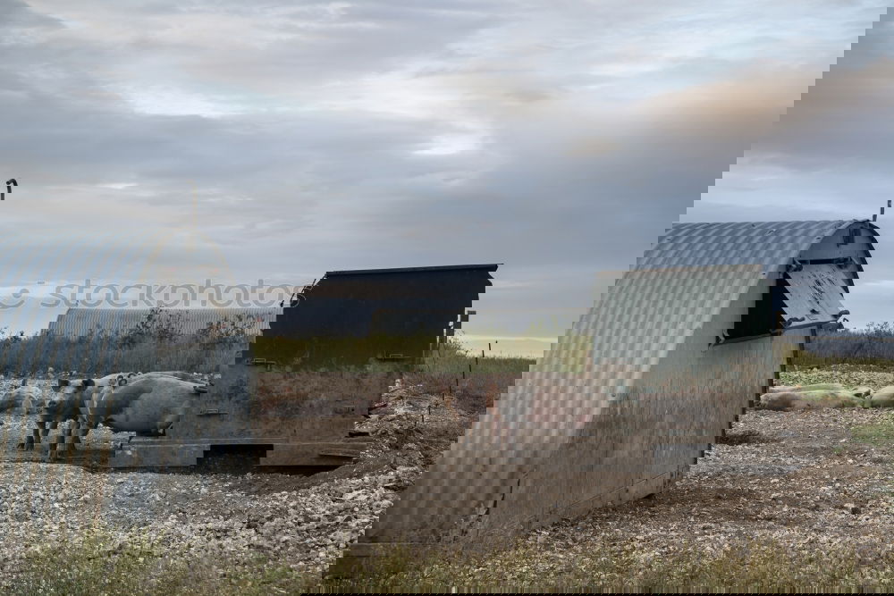 Similar – Foto Bild Junge, komm bald wieder …