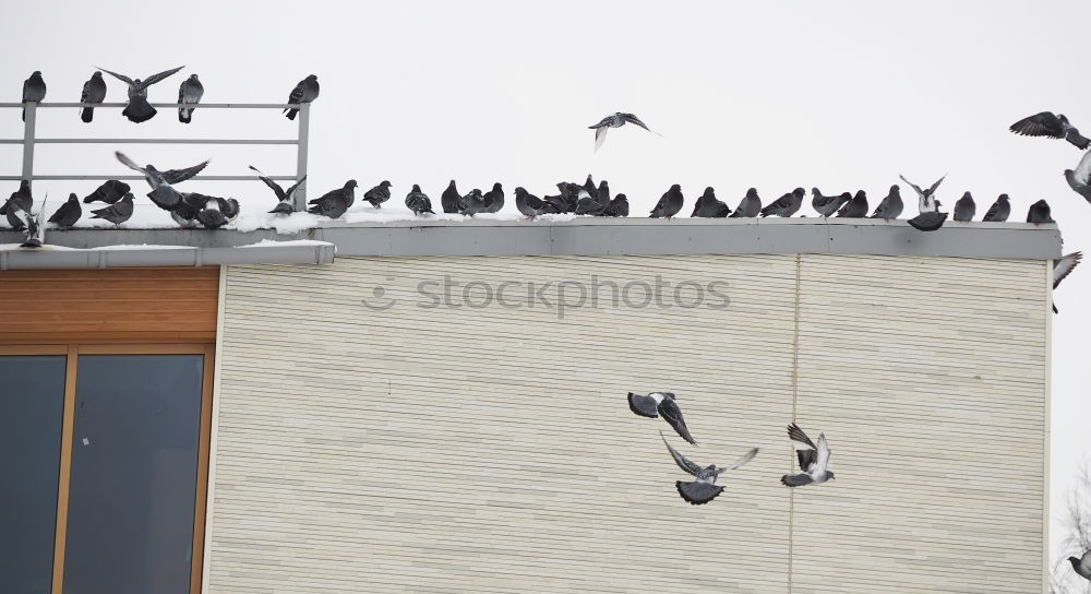 Similar – Image, Stock Photo landing site Roof