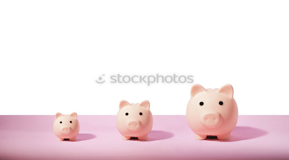 Similar – Image, Stock Photo Piggy bank family