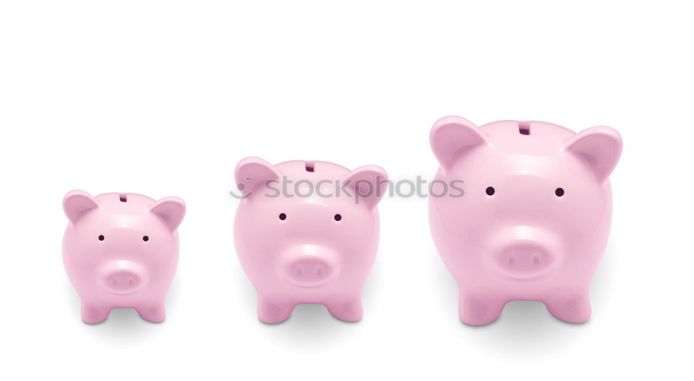 Similar – Image, Stock Photo Piggy bank family