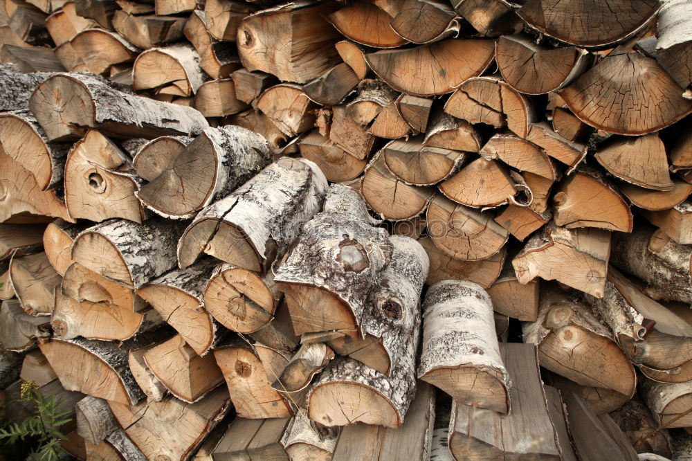 Similar – Image, Stock Photo Wood in front of the hut (II)