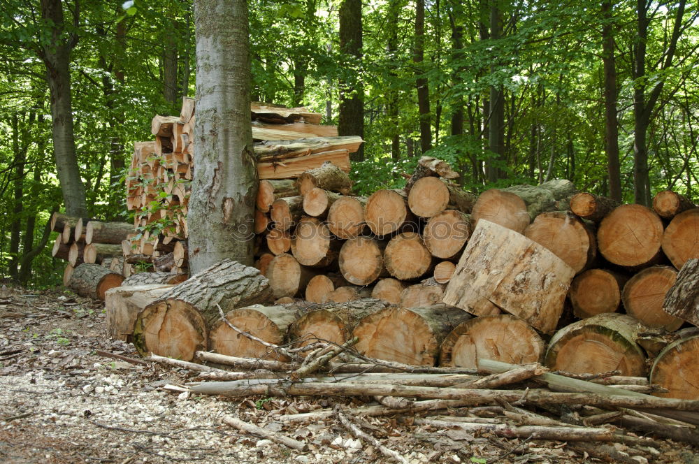 Similar – Wood in front of the hut