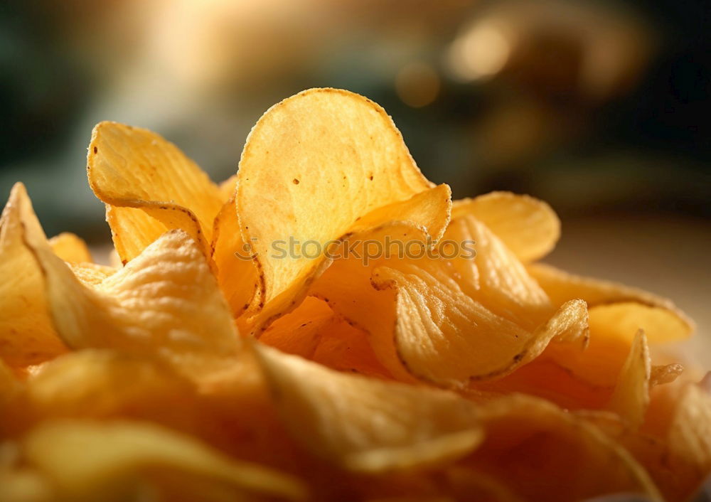 Similar – Image, Stock Photo autumn light III Plant