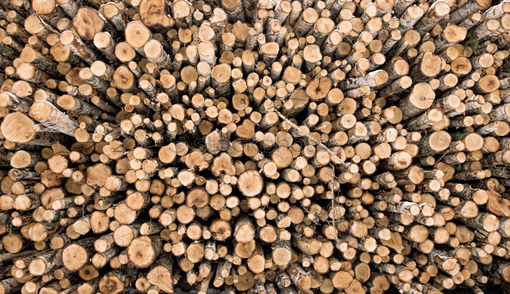 Similar – stack of wood Environment