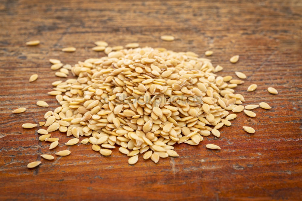 Similar – Image, Stock Photo sunflower seeds Nutrition