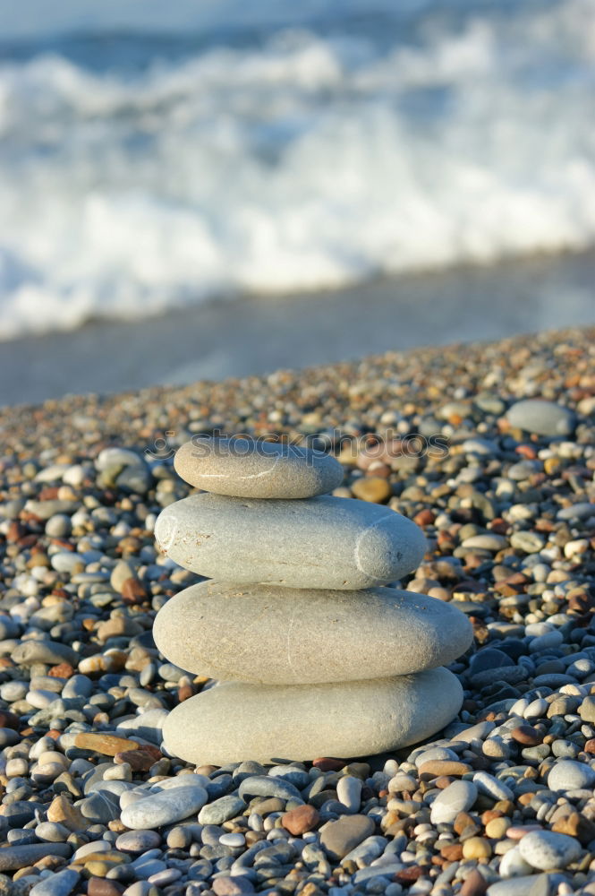 Similar – Image, Stock Photo paradise Mussel Beach