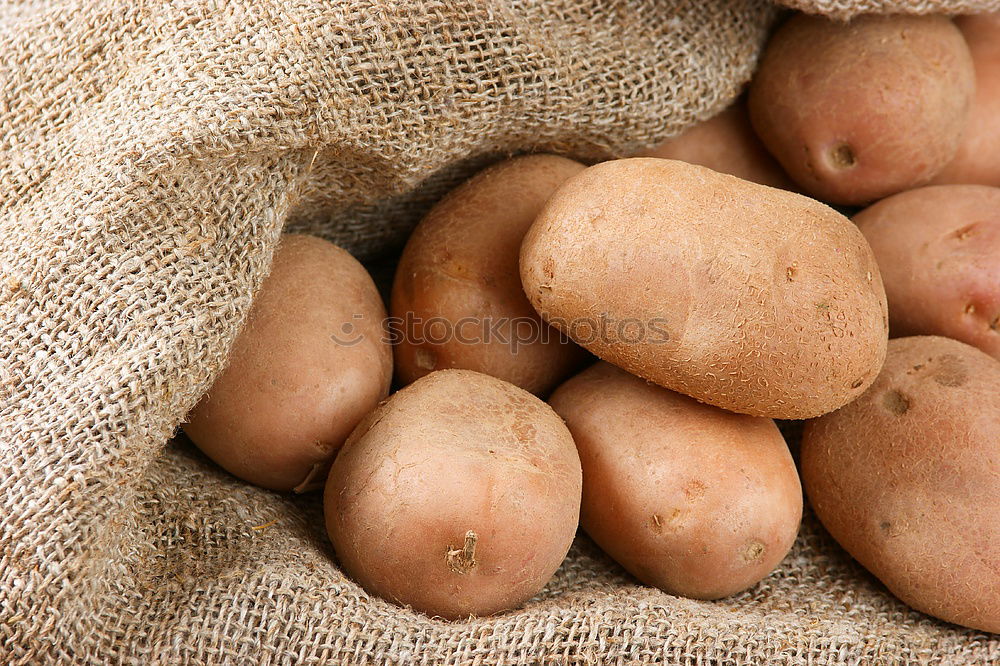 Similar – Image, Stock Photo Collect potatoes Vegetable