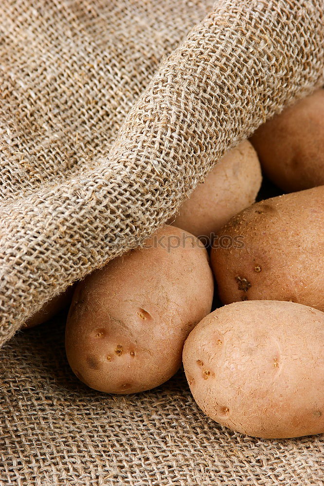 Similar – Image, Stock Photo Collect potatoes Vegetable