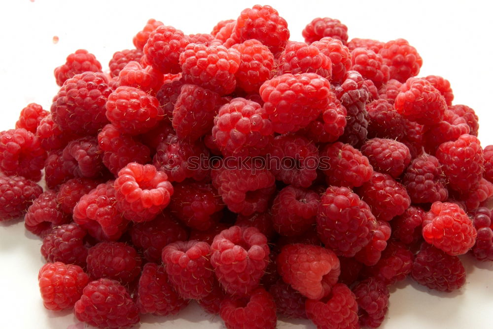 Similar – Himbeeren Lebensmittel