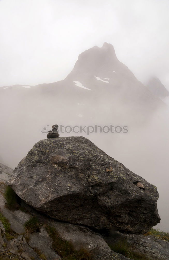 Similar – Image, Stock Photo Reindeer sighting in Sarek, Sweden