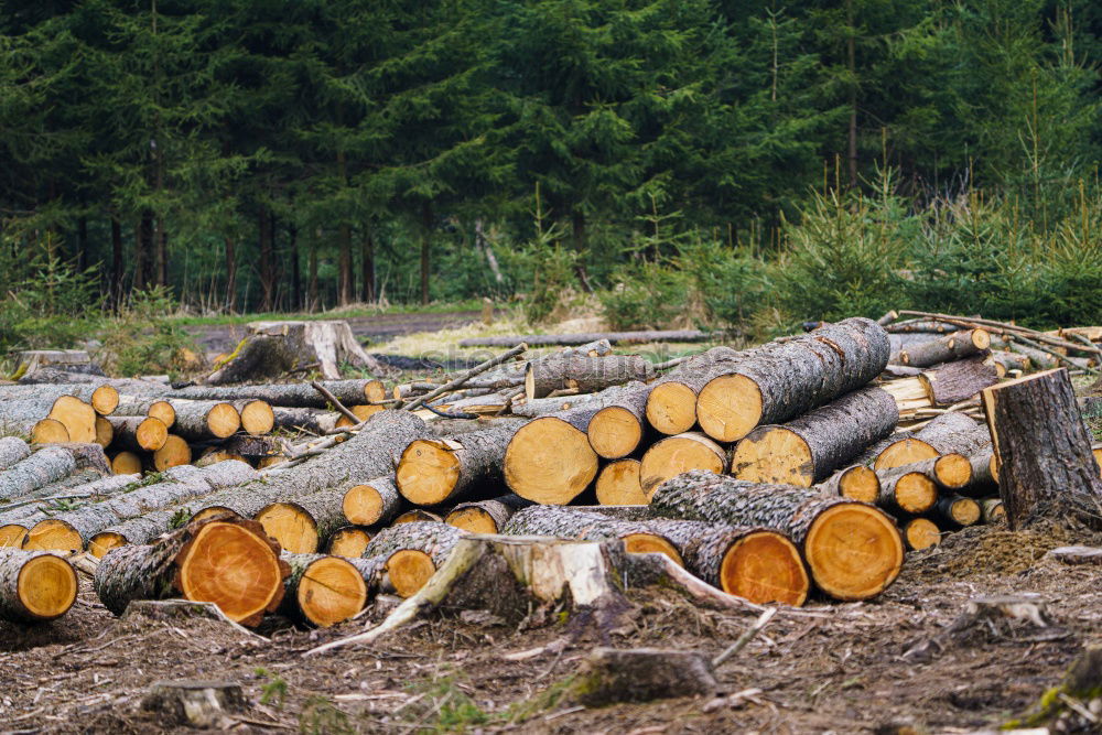 Similar – Holz vor der Hütte