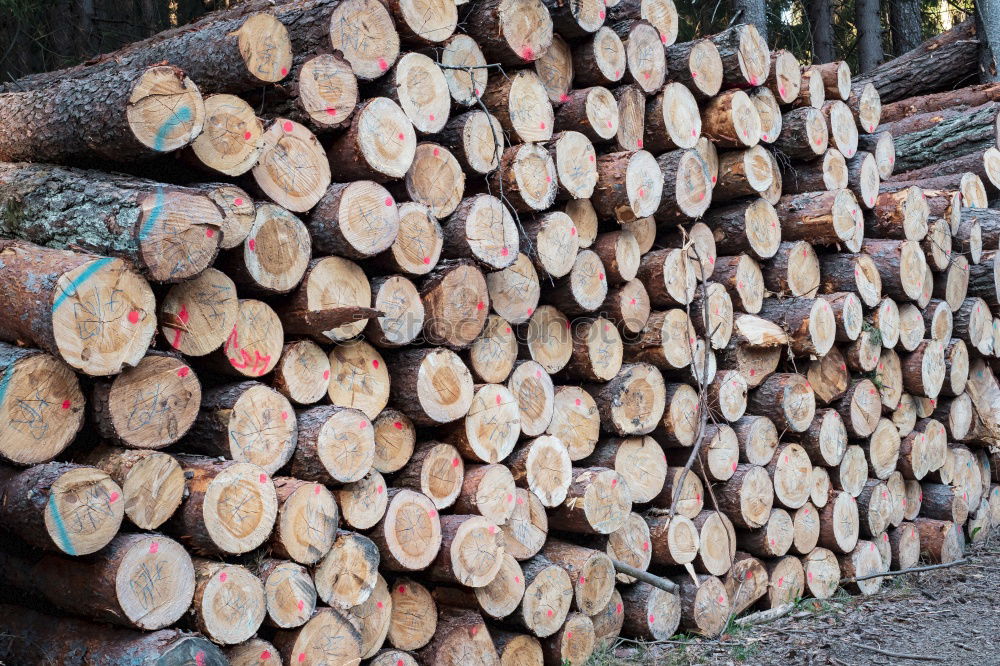 Similar – Wood in front of the hut