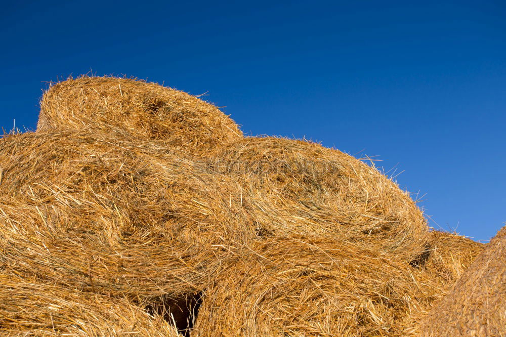 Similar – hay bales Straw