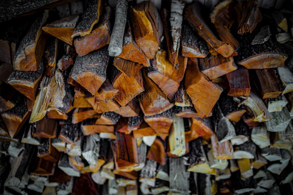Similar – Image, Stock Photo Memories on the Net