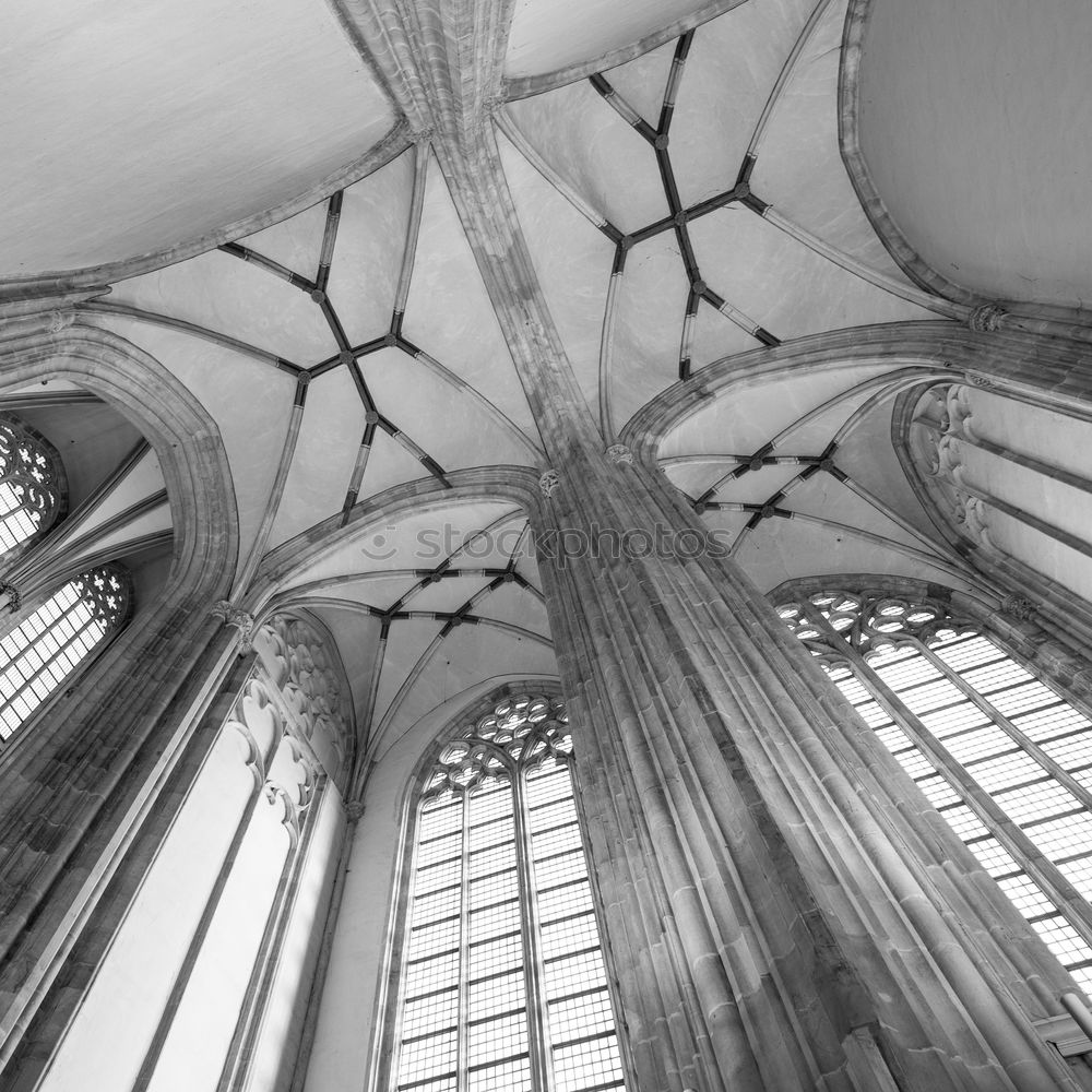 Similar – Image, Stock Photo kestrel Church spire