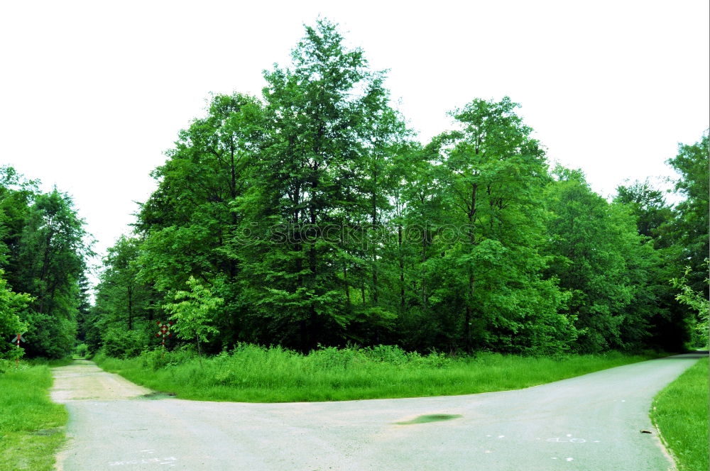 Image, Stock Photo untitled 6 Landscape Sky