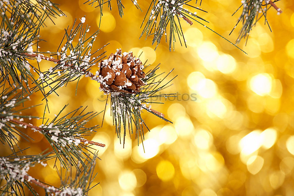 Similar – Image, Stock Photo Christmas decoration with fir cones and lights on a smooth surface with Bokeh