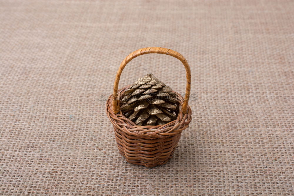 Similar – Image, Stock Photo cinnamon Food
