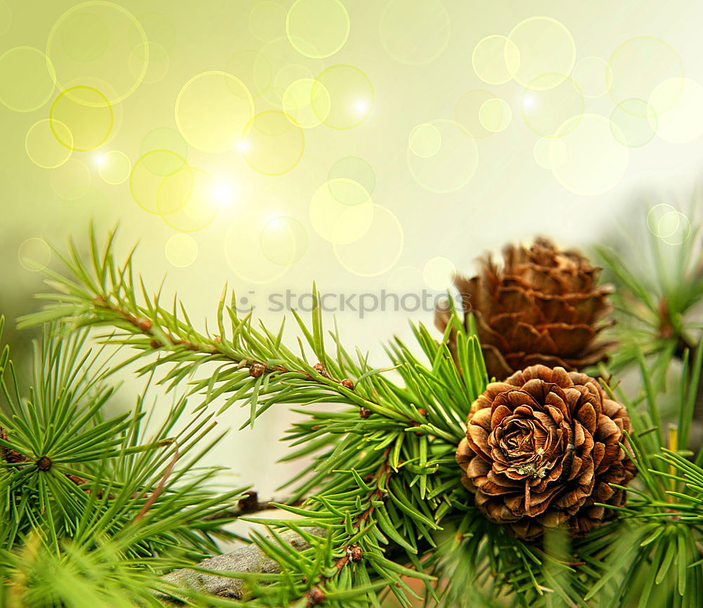Similar – Image, Stock Photo Christmas decoration with fir cones and lights on a smooth surface with Bokeh