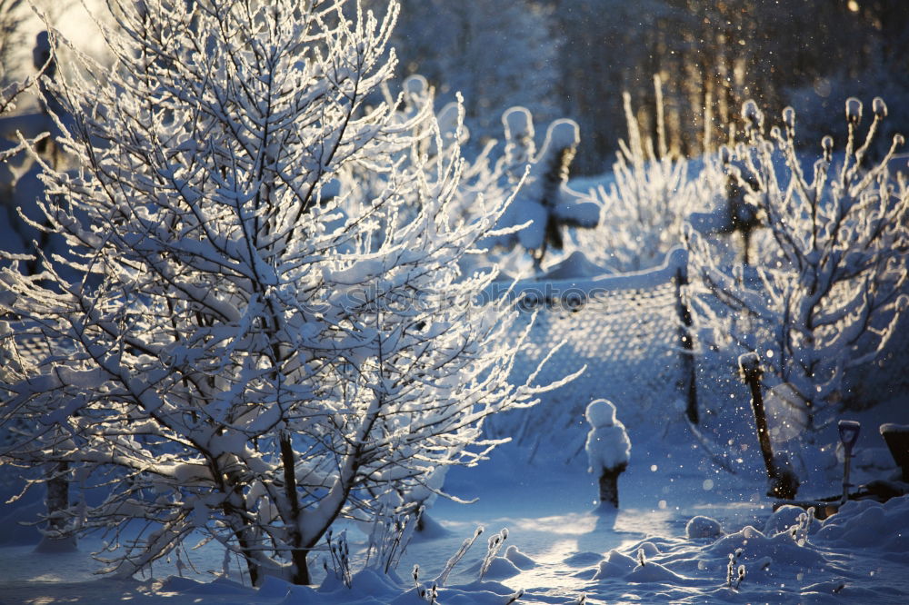 Similar – Winter in … Natur Wasser