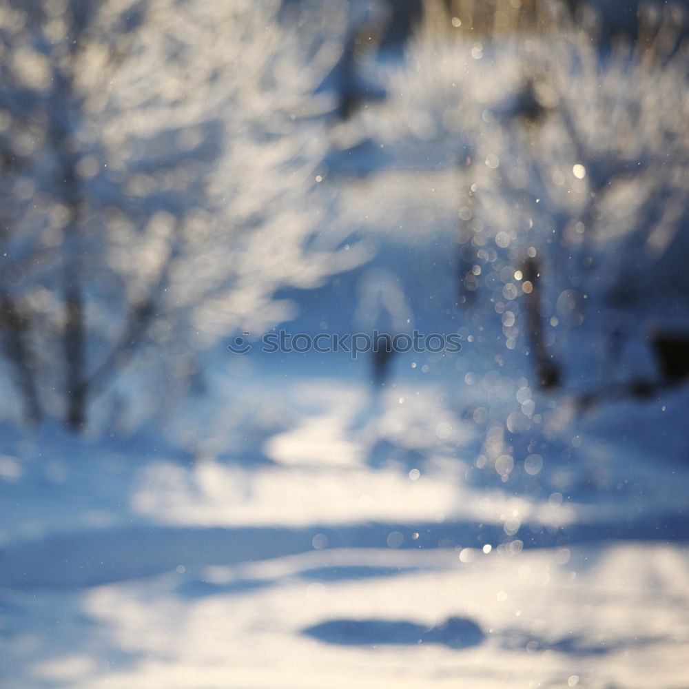 Similar – crunching blades Sledding