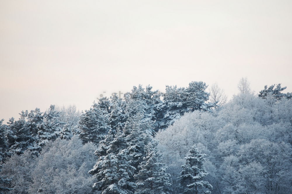 Similar – Lübeck in winter