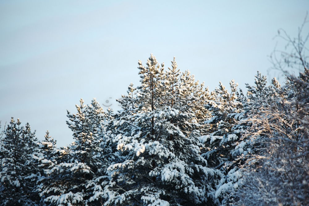 Similar – Image, Stock Photo bye winter time…hello summer time