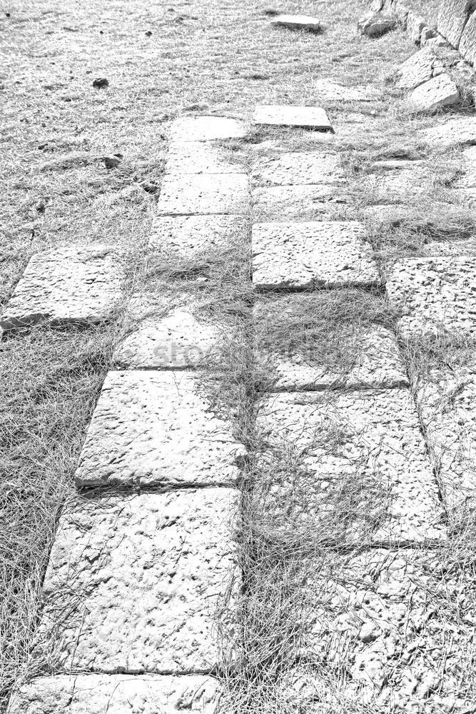 Similar – cobblestones Cobblestones