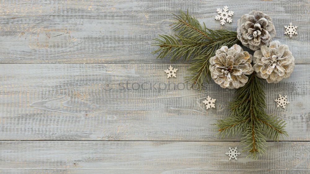 Similar – Image, Stock Photo Christmas decoration with lights and pine twigs