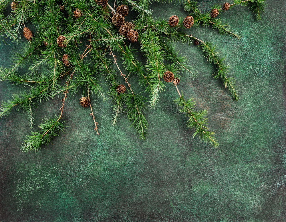 Similar – Image, Stock Photo fir cones