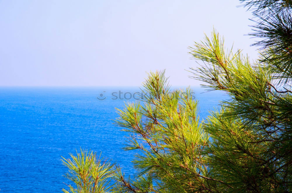 Image, Stock Photo More view!