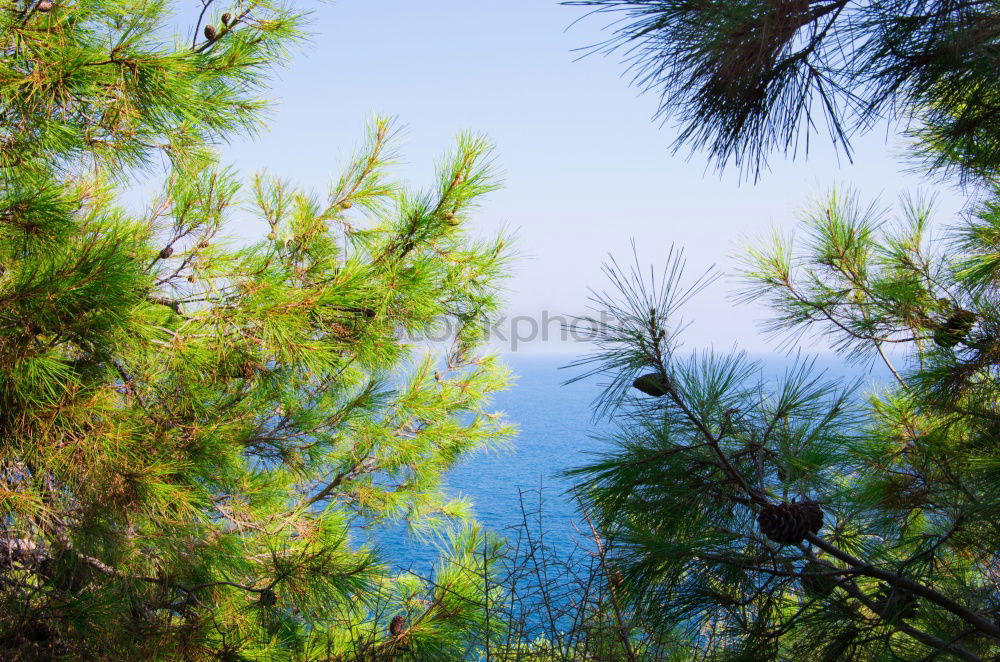 Similar – Image, Stock Photo More view!