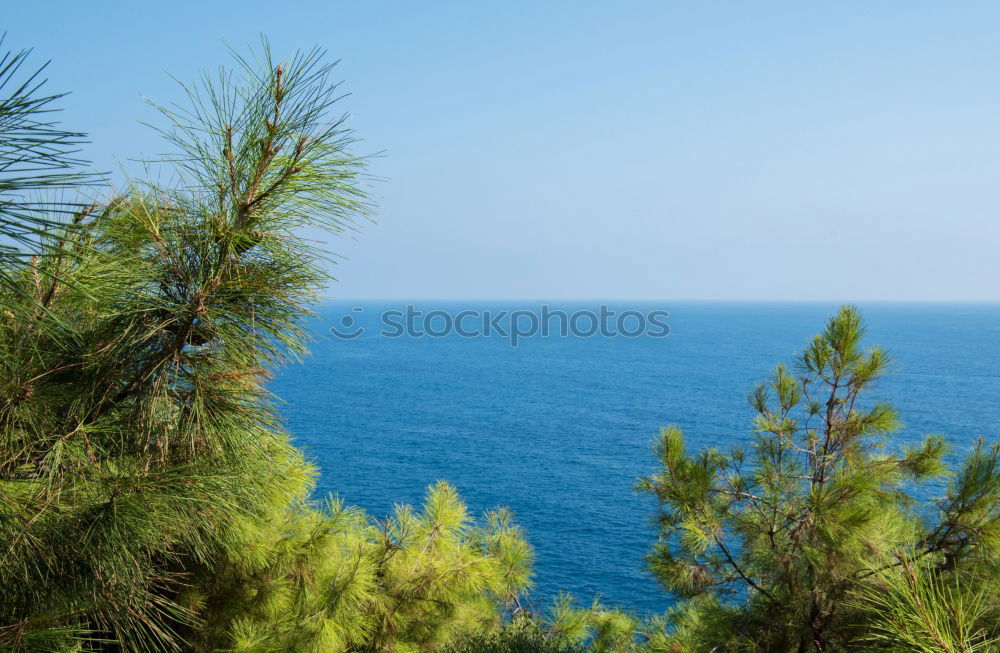 Similar – Image, Stock Photo More view!