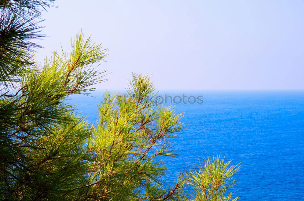Similar – Image, Stock Photo More view!