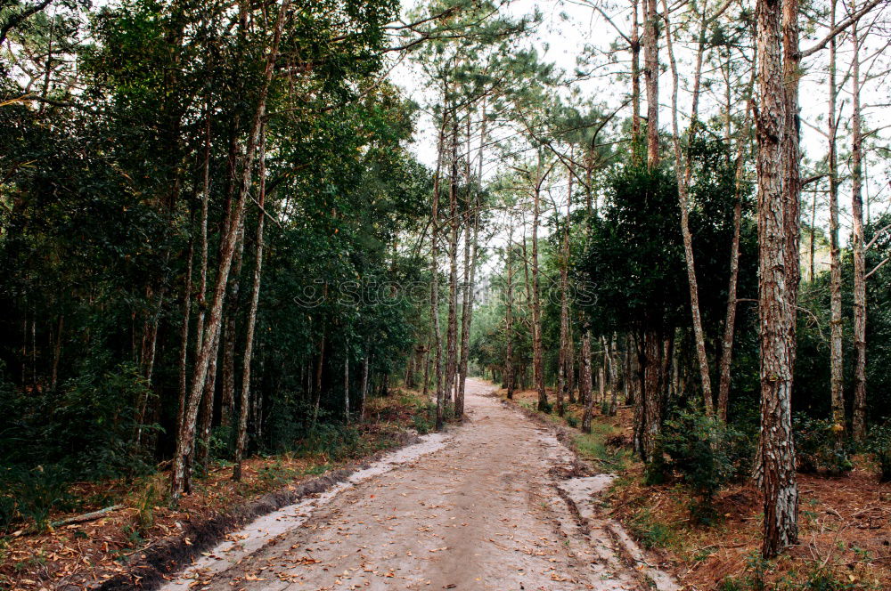 Similar – Foto Bild Ocker von Roussillon