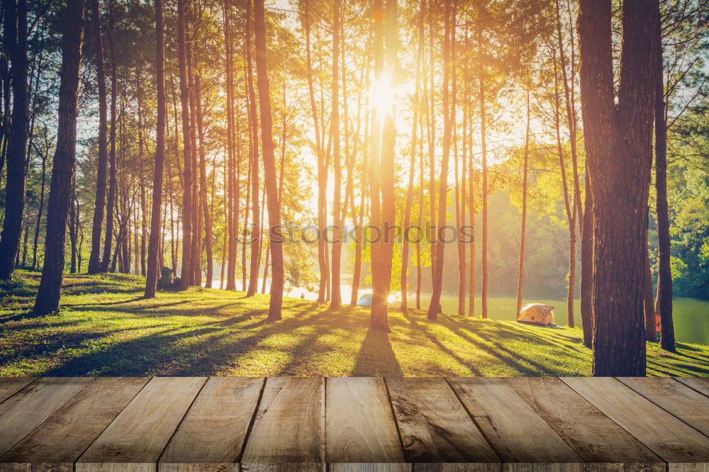 Similar – Image, Stock Photo Road on field in village