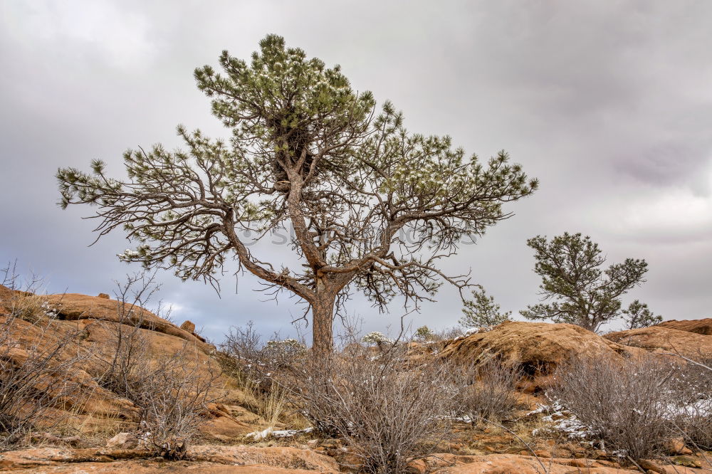 Similar – ghost town Storm clouds