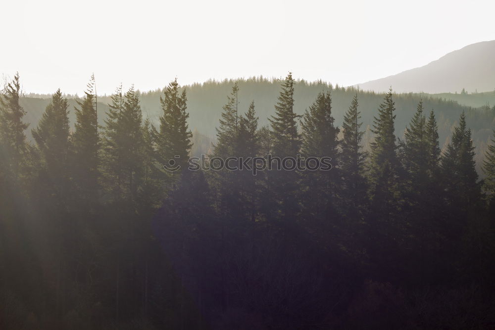 Similar – Image, Stock Photo Backpacker in rural field