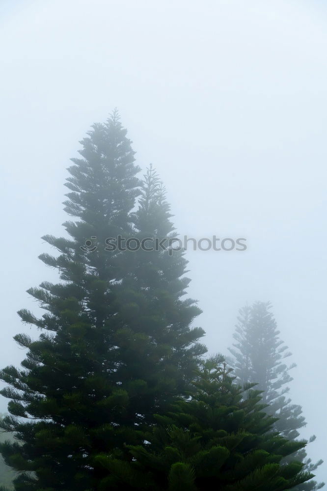 Similar – Foto Bild *urlaubstraum* Landschaft