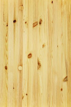 Similar – Nagelbett Holz trist