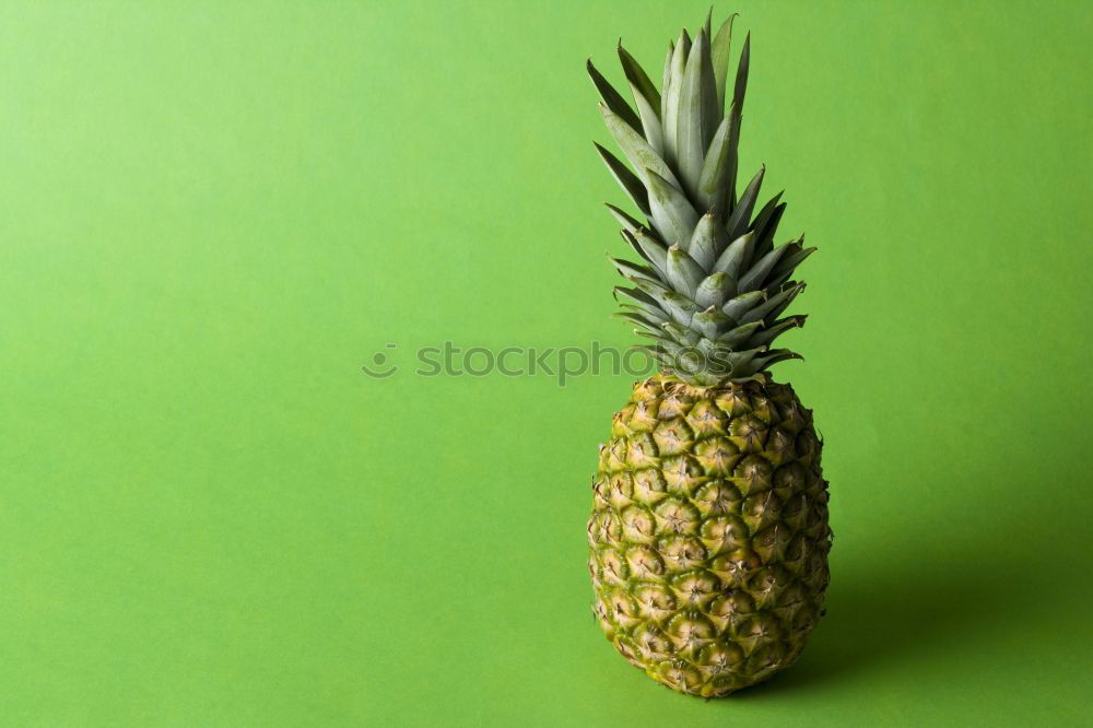Image, Stock Photo #AS# Pineapple single wrapped