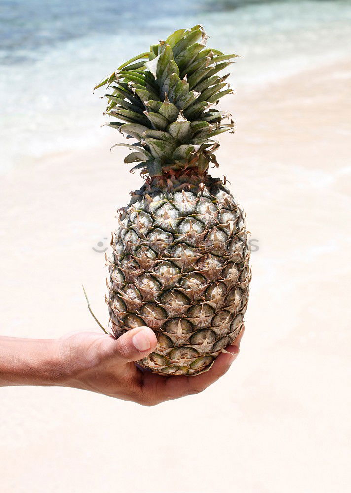 Similar – Image, Stock Photo Flying Pineapple Fruit