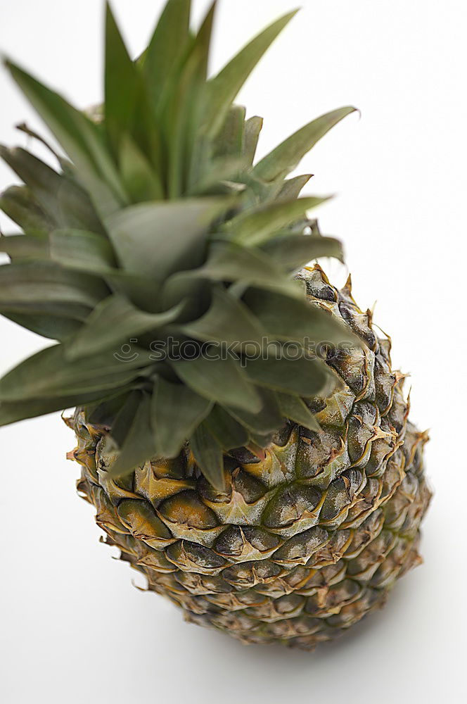 Similar – Pineapple in an armchair