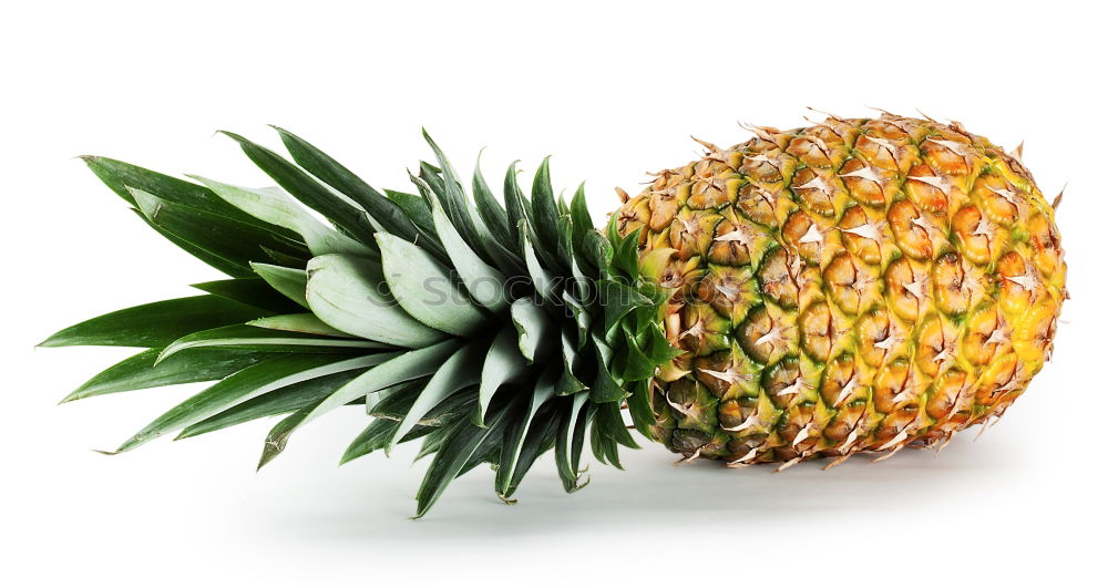 Similar – Pineapple in an armchair